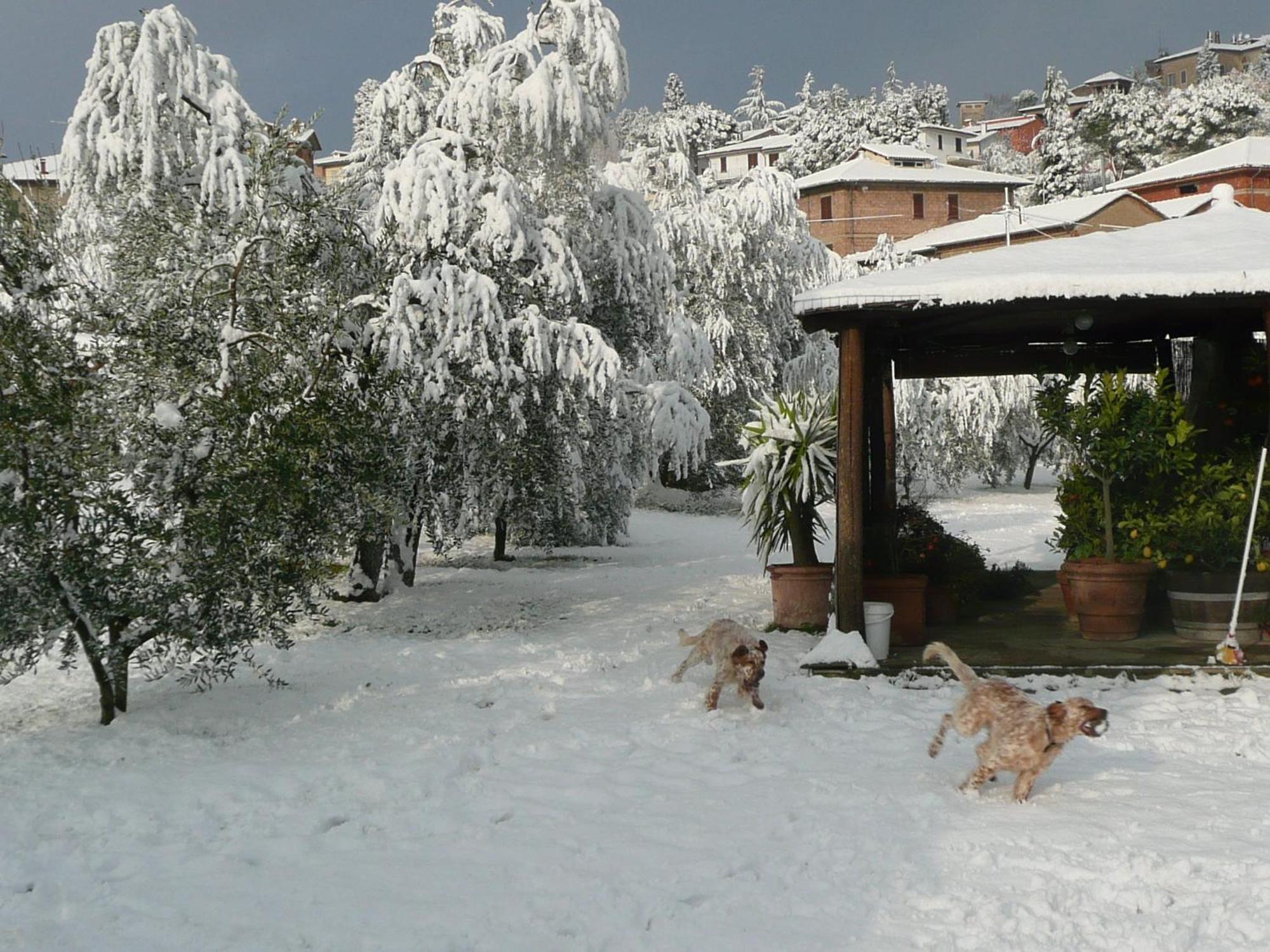 Il Baraccotto Bed & Breakfast Lucignano Luaran gambar